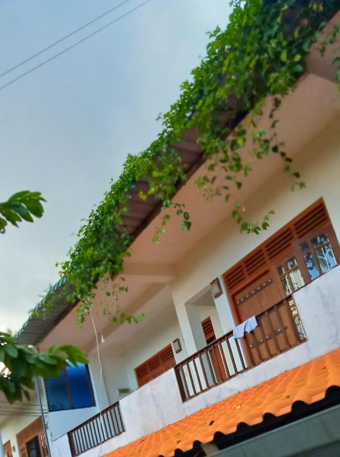 Green View Guest Hotel Mirissa Exterior foto